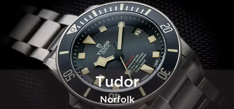  Tudor Norfolk